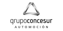 grupo-concesur.jpg